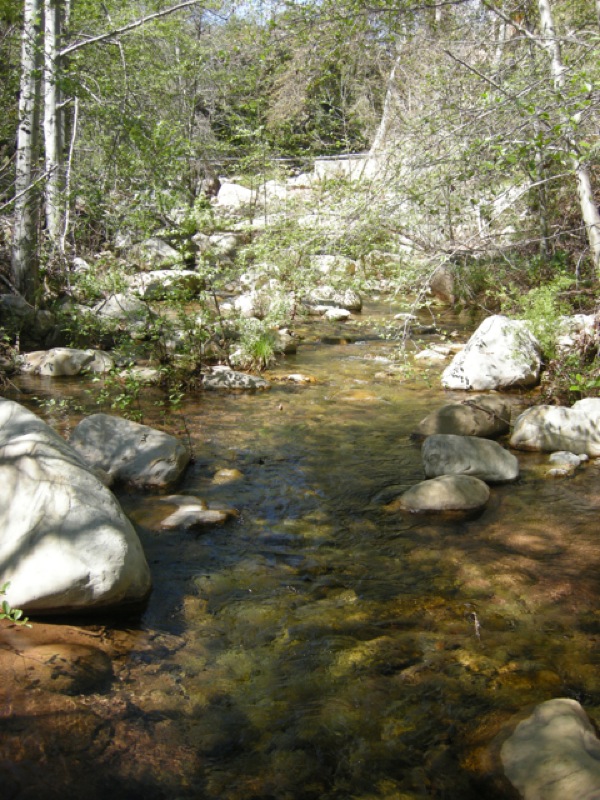 Ojai creek